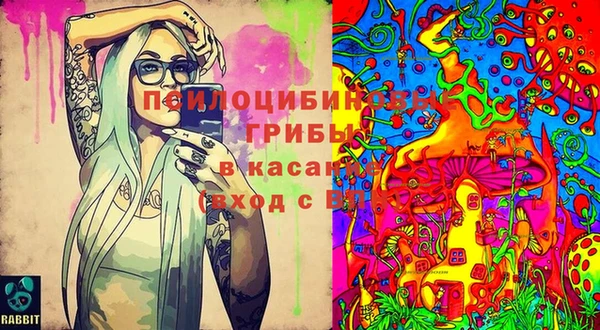 ПСИЛОЦИБИНОВЫЕ ГРИБЫ Армянск