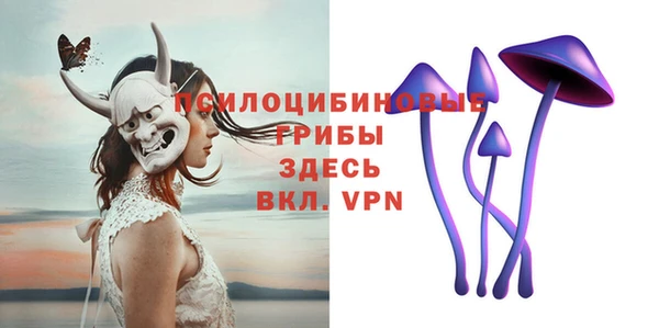 спайс Аркадак