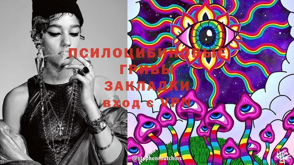 спайс Аркадак