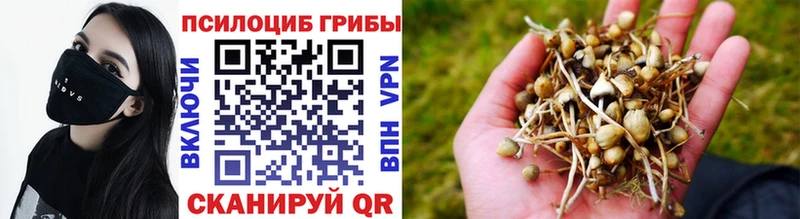 купить  цена  Сортавала  маркетплейс какой сайт  Галлюциногенные грибы прущие грибы 
